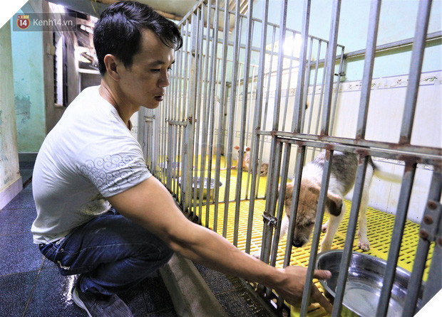 Cãi lời vợ, chàng trai trẻ bỏ hàng trăm triệu để “đổi đời” cho hàng nghìn chú chó mèo bị bỏ rơi ở Huế - Ảnh 6.