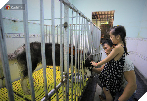 Cãi lời vợ, chàng trai trẻ bỏ hàng trăm triệu để “đổi đời” cho hàng nghìn chú chó mèo bị bỏ rơi ở Huế - Ảnh 16.