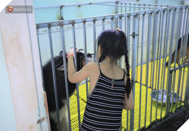 Cãi lời vợ, chàng trai trẻ bỏ hàng trăm triệu để “đổi đời” cho hàng nghìn chú chó mèo bị bỏ rơi ở Huế - Ảnh 17.