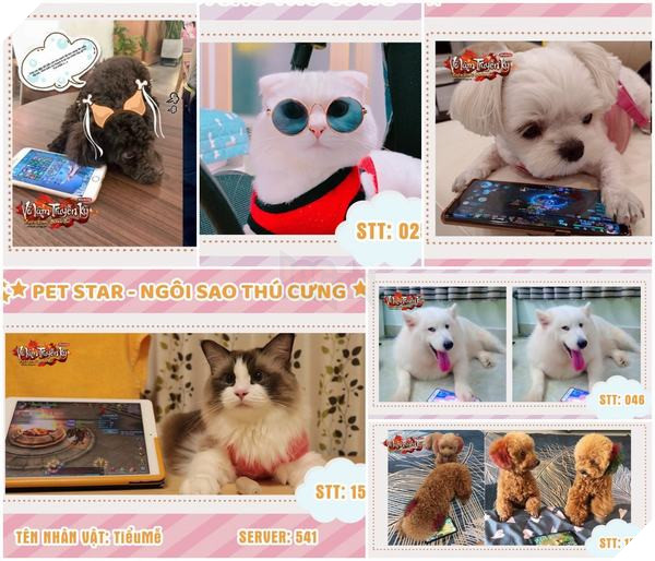 Phận làm Sen, hộ tống Boss đi thi rồi kiêm luôn trợ lý kêu gọi bình chọn 2