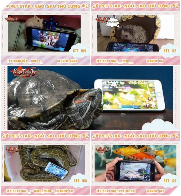 Phận làm Sen, hộ tống Boss đi thi rồi kiêm luôn trợ lý kêu gọi bình chọn 3