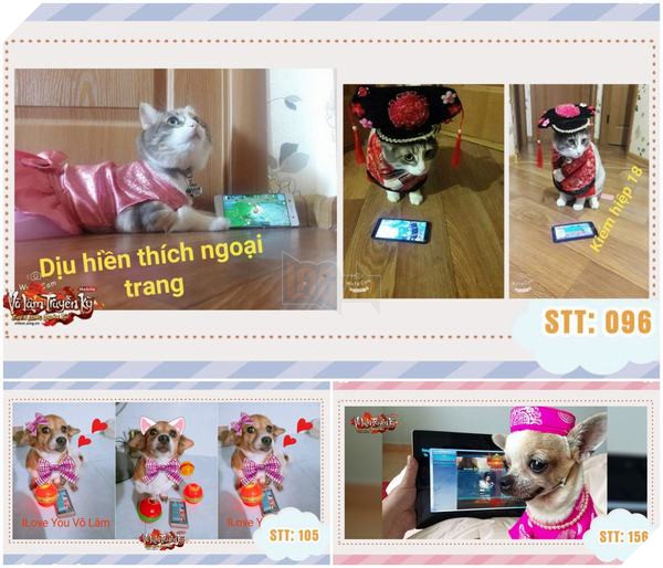 Phận làm Sen, hộ tống Boss đi thi rồi kiêm luôn trợ lý kêu gọi bình chọn 4