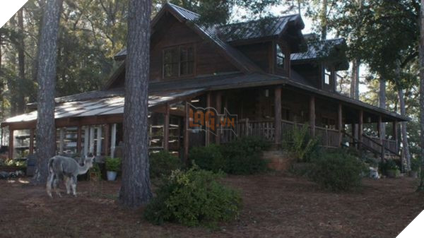 Top 12 điều thú vị trong bản digital của Avengers: Endgame, Tony từng cạo đầu của Rocket Racoon 9