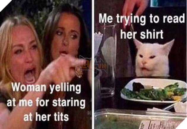 Tổng hợp Meme 2 cô gái la con mèo trên bàn ăn là gì và bắt nguồn từ đâu? 5