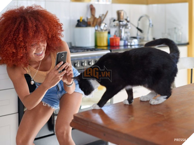 7 điều bạn đang làm khiến chú mèo của bạn thầm ghét chủ nhân hơn 2