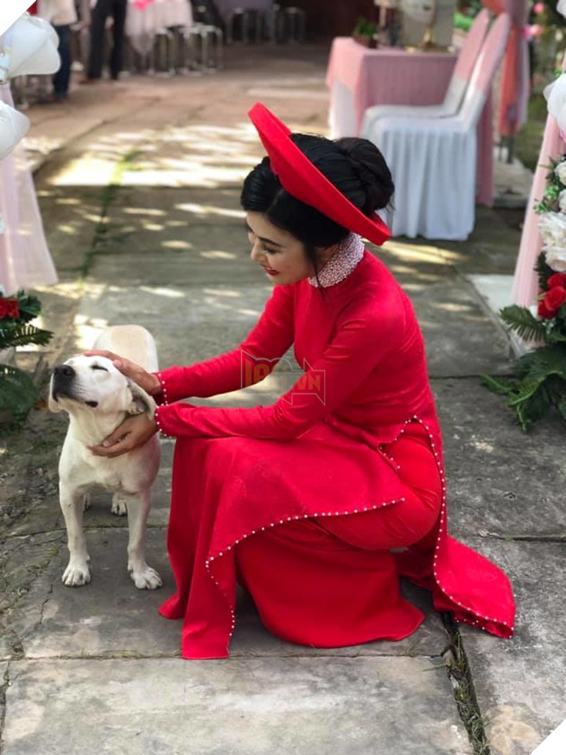 
Mày đi lấy chồng cho khuất mắt tao đi!