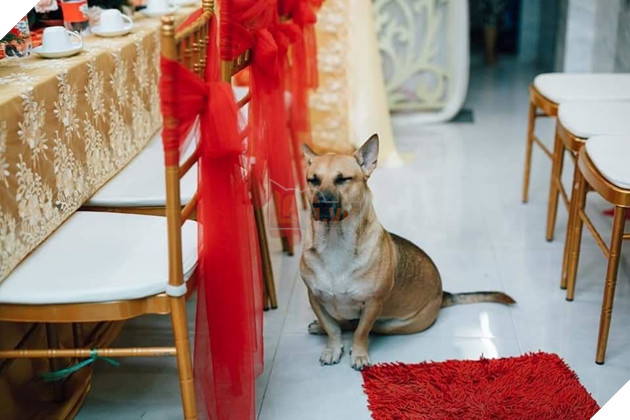 
Cần được điềm tĩnh lấy lại tinh thần.