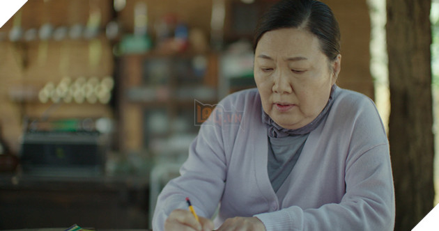 Điều ước cuối của mẹ - Người mẹ không biết chữ và bức thư gửi con trai