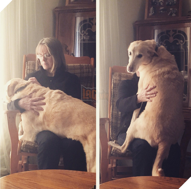  16 boss đeo bám đi đâu cũng lẽo đẽo theo sen như đỉa đói - Ảnh 23.