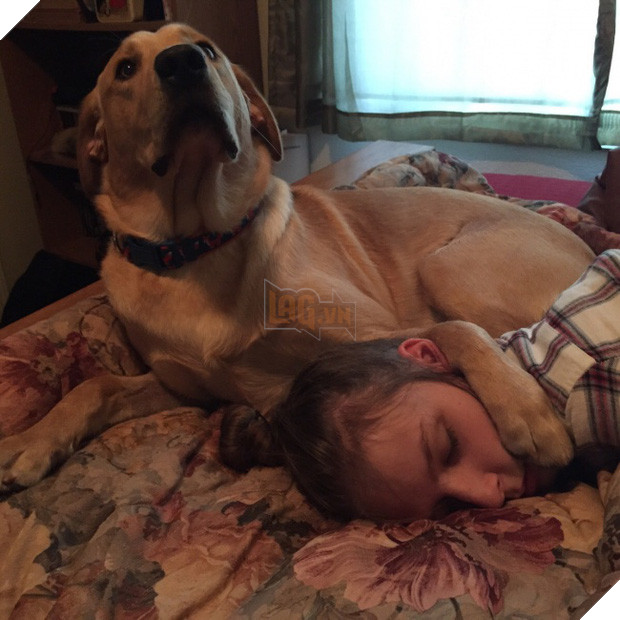  16 boss đeo bám đi đâu cũng lẽo đẽo theo sen như đỉa đói - Ảnh 3.