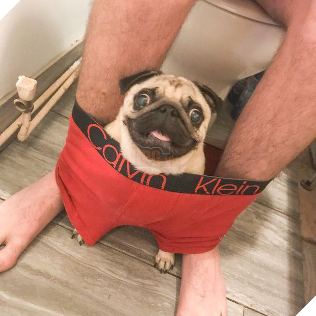  16 boss đeo bám đi đâu cũng lẽo đẽo theo sen như đỉa đói - Ảnh 31.