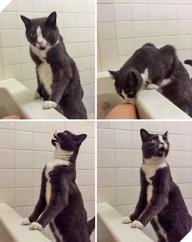  16 boss đeo bám đi đâu cũng lẽo đẽo theo sen như đỉa đói - Ảnh 5.