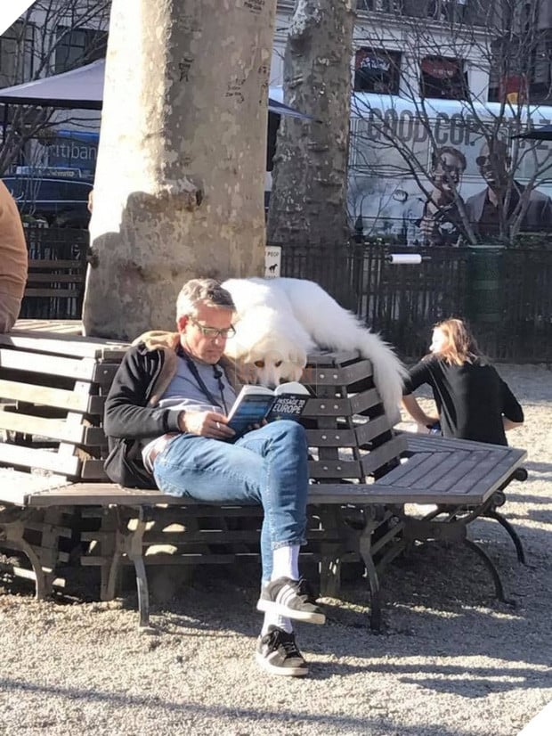  16 boss đeo bám đi đâu cũng lẽo đẽo theo sen như đỉa đói - Ảnh 13.