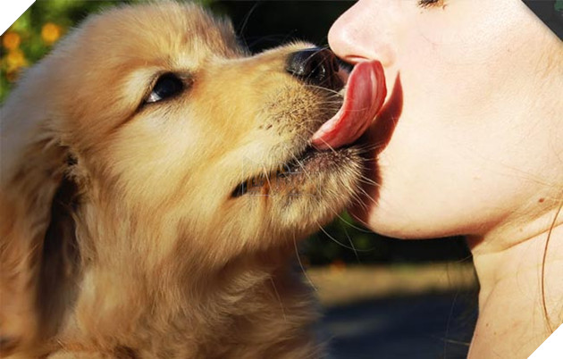 dog kiss human