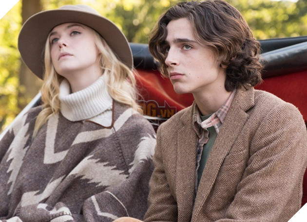 A Rainy Day In New York: Bản tình ca ngọt ngào cho những ai đang yêu 2