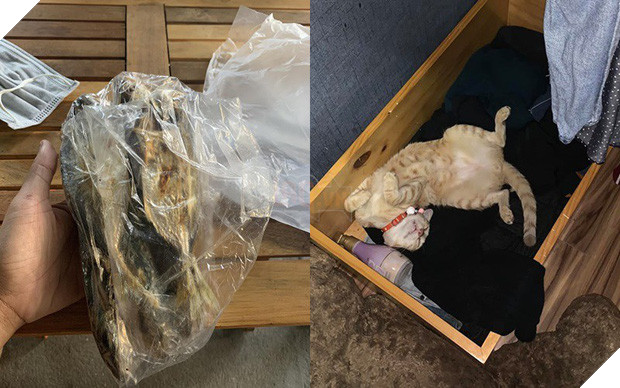 Đi học xa, sen bị mẹ sai cầm bọc cá nướng nóng hổi lên cho quàng thượng còn mình nhịn thèm: Ủa, ai là con ruột vậy? - Ảnh 1.