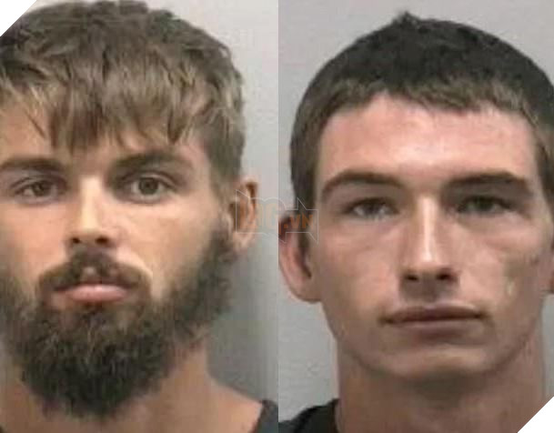 Rảnh rỗi nghịch dại: Hai thanh niên bị bắt do cố đổ bia vào họng cá sấu chỉ vì muốn chuốc nó say