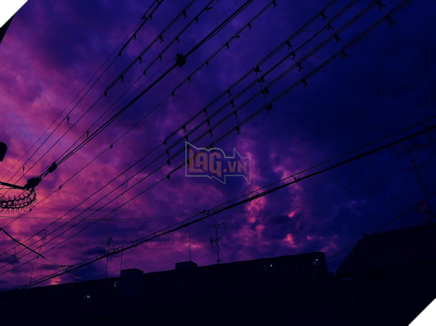 Japan's Famous Okishima Cat Island Is at Risk of Being - WORLD OF BUZZ