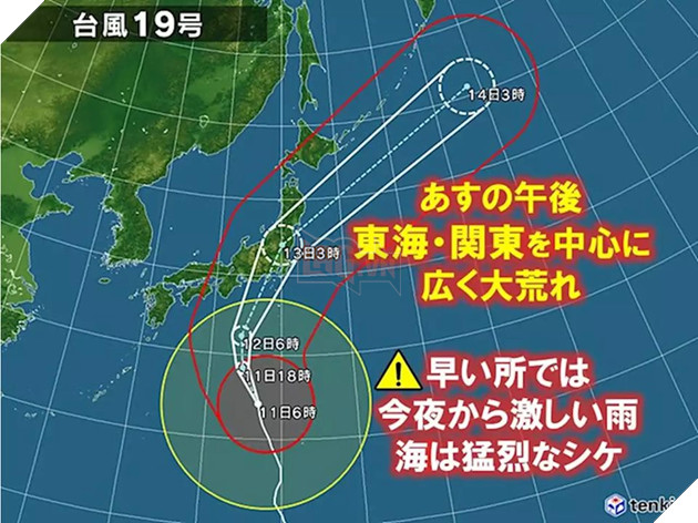 Japan's Famous Okishima Cat Island Is at Risk of Being - WORLD OF BUZZ 2