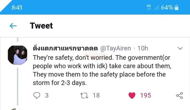 The Cats in - WORLD OF BUZZ