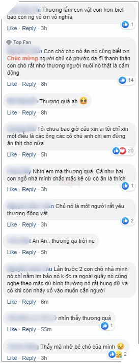  
Ý kiến CĐM (Ảnh: Chụp màn hình)