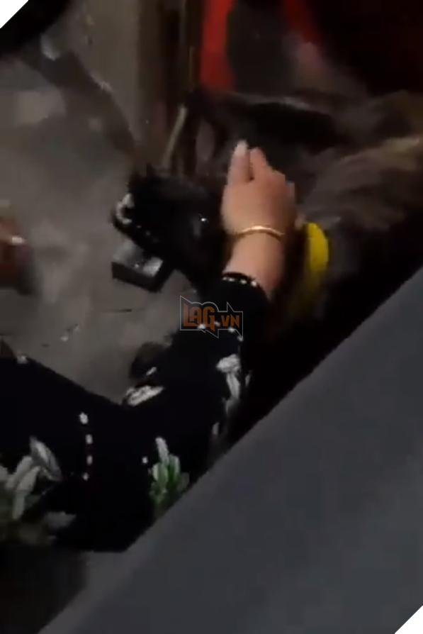  
Chó là một loài động vật rất có cảm xúc và tình cảm (Ảnh: Chụp màn hình)