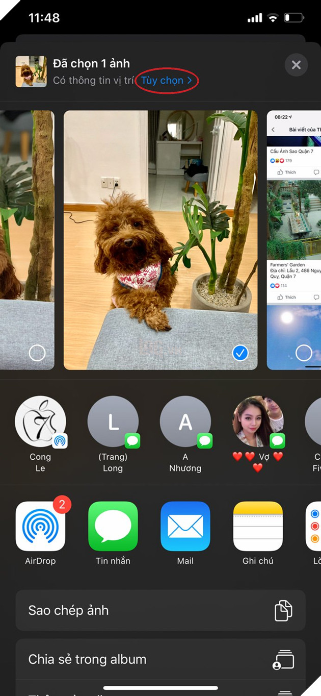 Hướng dẫn: Cách gửi ảnh qua thiết bị iPhone bằng AirDrop trên iOS 13  3