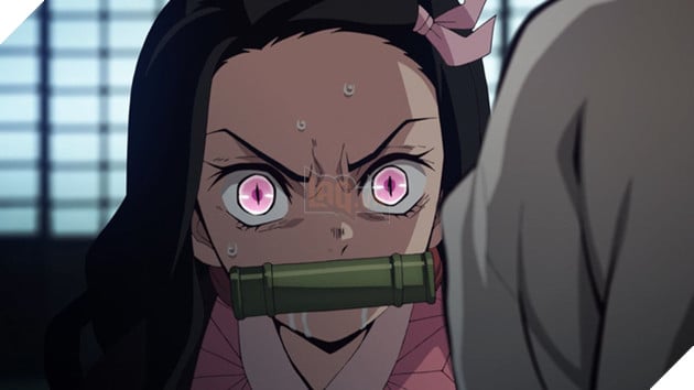 Kimetsu no Yaiba chương 180: Muzan hồi sinh trong hình dạng mới, phe thợ săn quỷ thiệt hại nặng nề - Ảnh 8.