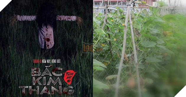 Giải mã tựa phim Bắc Kim Thang - Mối liên hệ mật thiết với bài đồng dao quen thuộc 4