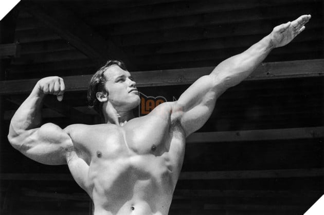 Nhìn lại hành trình 35 năm làm kẻ hủy diệt của ông hoàng phim hành động Arnold schwarzenegger 