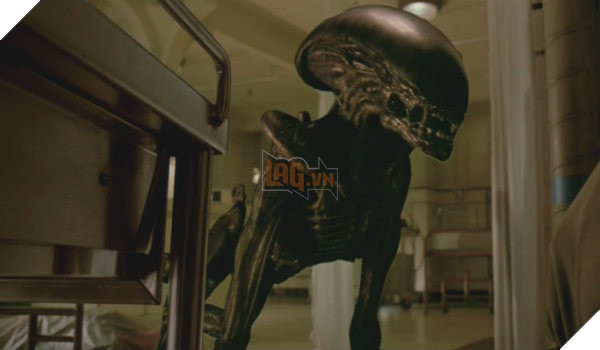 Dead by Daylight: Những thương hiệu kinh dị xứng đáng trở thành DLC 13