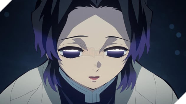 Kimetsu no Yaiba: Bạn có biết về mối liên kết thầm kín giữa Tanjiro và Shinobu, cô nàng xinh đẹp nhất quân đoàn diệt quỷ? - Ảnh 8.