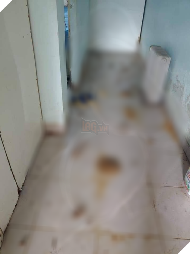 Cô gái trẻ đẹp núp bóng cứu hộ động vật để kêu gọi quyên góp rồi bỏ mặc nhiều chú chó chết trong căn nhà đầy chất thải - Ảnh 4.