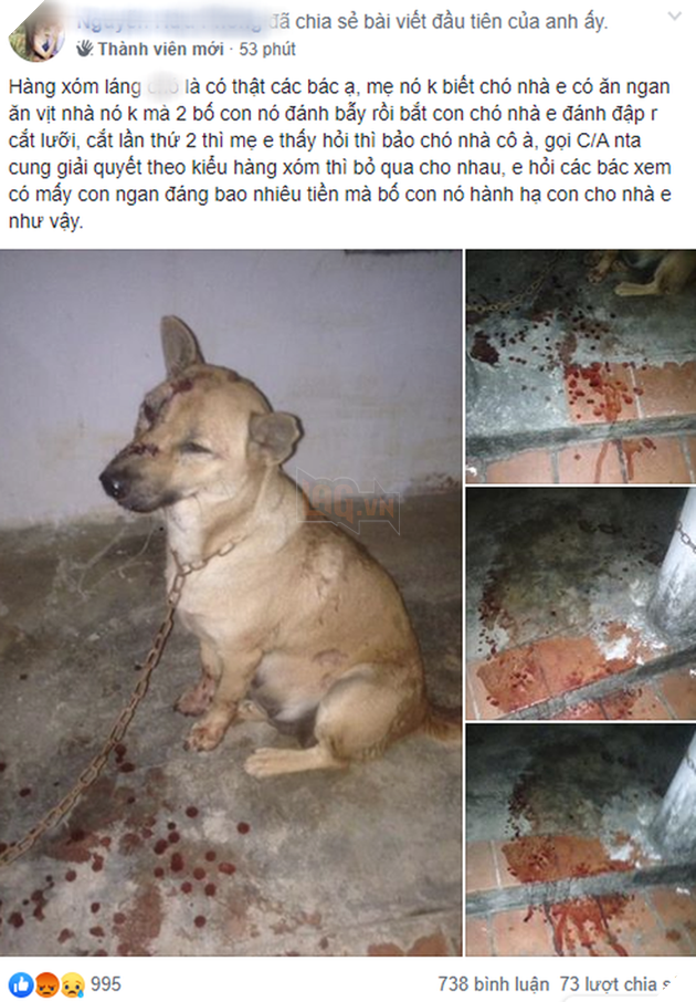Mâu thuẫn vì nghi chó cắn vịt, hàng xóm đánh bẫy rồi cắt lưỡi chú chó nhỏ khiến dân mạng phẫn nộ - Ảnh 1. Mâu thuẫn vì nghi chó cắn vịt, hàng xóm đánh bẫy rồi cắt lưỡi chú chó nhỏ khiến dân mạng phẫn nộ - Ảnh 1.