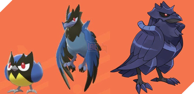 Rookidee Corvisquire and Corviknight Pokemon Sword and Shield