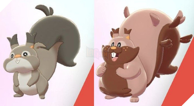 Skwovet and Greednet 