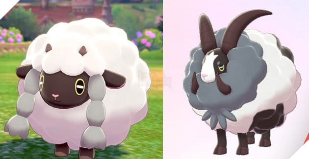 Wooloo and Dubwool Pokemon Sword and Shield