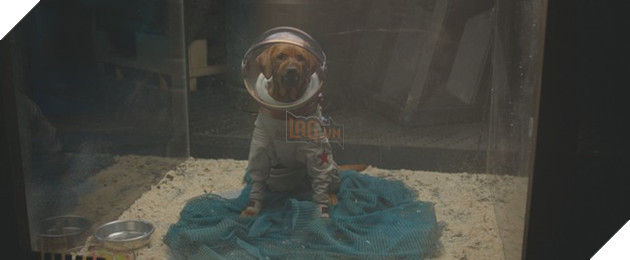 Tổng hợp danh sách các siêu anh hùng làm cameo bất đắc dĩ trong MCU 3