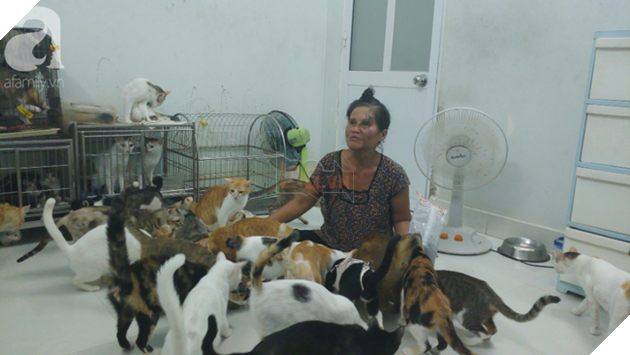 “Người mẹ” của 400 con mèo ở Sài Gòn bật khóc tức tưởi khi bị tông xe còn mang tiếng oan đi bắt trộm mèo - Ảnh 3.