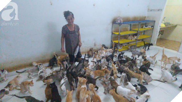 “Người mẹ” của 400 con mèo ở Sài Gòn bật khóc tức tưởi khi bị tông xe còn mang tiếng oan đi bắt trộm mèo - Ảnh 10.