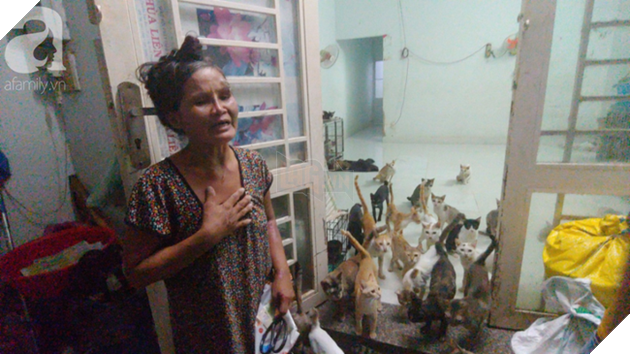 “Người mẹ” của 400 con mèo ở Sài Gòn bật khóc tức tưởi khi bị tông xe còn mang tiếng oan đi bắt trộm mèo - Ảnh 1.