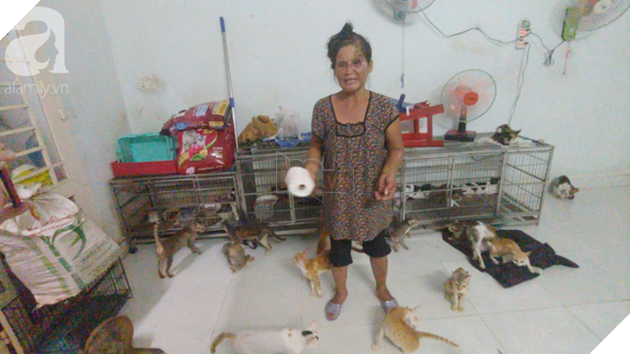 “Người mẹ” của 400 con mèo ở Sài Gòn bật khóc tức tưởi khi bị tông xe còn mang tiếng oan đi bắt trộm mèo - Ảnh 12.