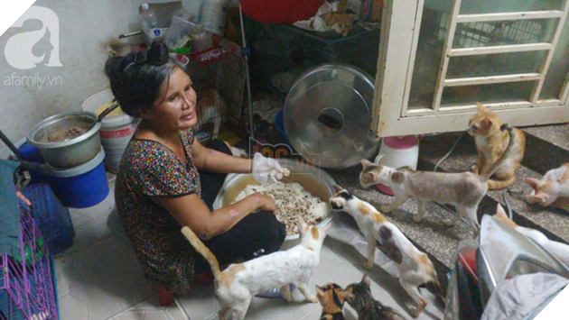 “Người mẹ” của 400 con mèo ở Sài Gòn bật khóc tức tưởi khi bị tông xe còn mang tiếng oan đi bắt trộm mèo - Ảnh 5.