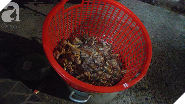 “Người mẹ” của 400 con mèo ở Sài Gòn bật khóc tức tưởi khi bị tông xe còn mang tiếng oan đi bắt trộm mèo - Ảnh 14.