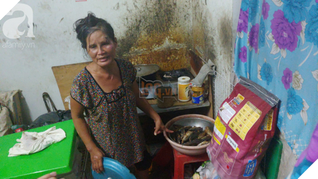 “Người mẹ” của 400 con mèo ở Sài Gòn bật khóc tức tưởi khi bị tông xe còn mang tiếng oan đi bắt trộm mèo - Ảnh 13.