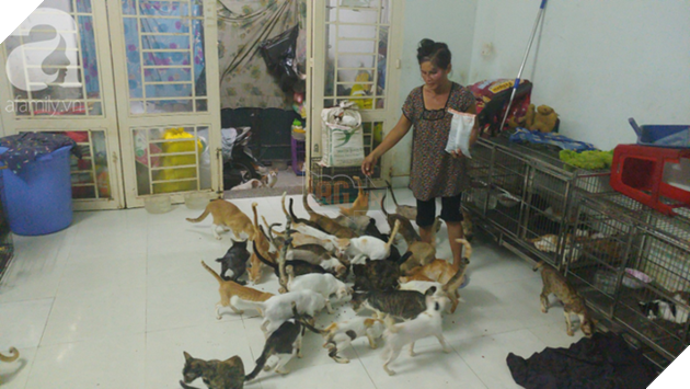 “Người mẹ” của 400 con mèo ở Sài Gòn bật khóc tức tưởi khi bị tông xe còn mang tiếng oan đi bắt trộm mèo - Ảnh 8.