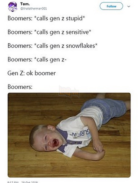 Meme Ok Boomer là gì và định nghĩa của Boomer ra sao mà ai cũng đang sử dụng 8