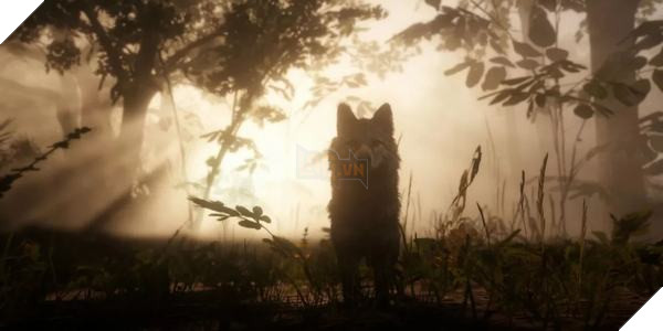 Mod Red Dead Redemption 2 mang đến cho người chơi khả năng biến hình siêu cấp 3