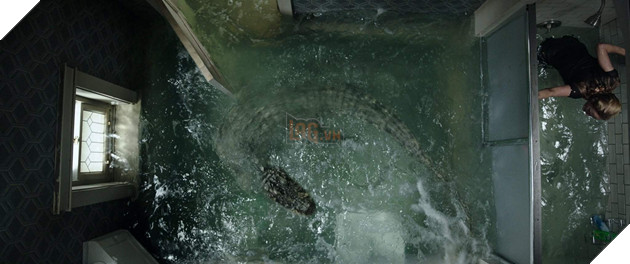 Tổng hợp những tựa phim hay nhất 2019 dành cho mọt phim kinh dị Phần 2  3