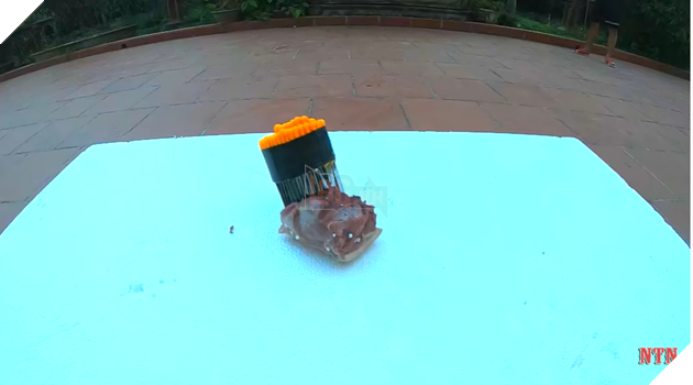 NTN đăng video thả 100 con dao xuống đất, cộng đồng mạng chê clip càng ngày càng nhảm nhí 4